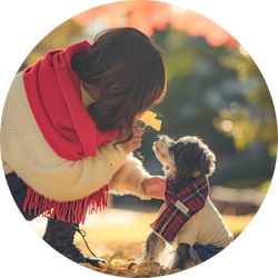 秋の落ち葉の中で女性が犬と向き合い微笑み合う温かなシーン