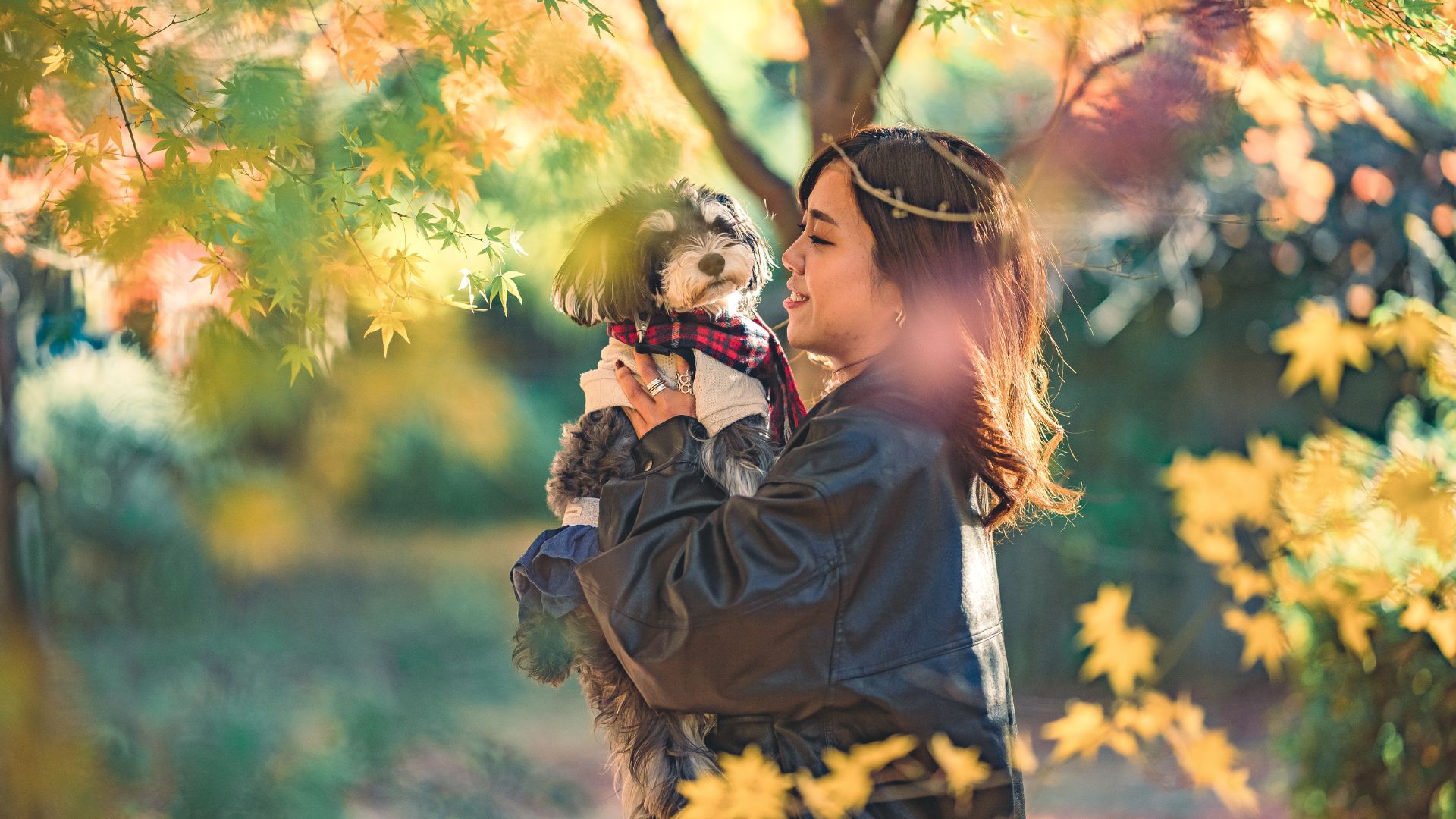 秋の紅葉に包まれた公園で、女性が愛犬を抱き上げて微笑むロケーション撮影