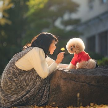 女性が犬と向き合い、落ち葉の中で寄り添う温かなシーン